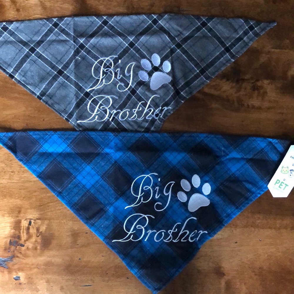 Two Big Brother Dog Bandanas